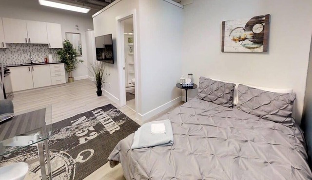 Bachelor apartment in downtown!
