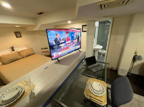 bachelor basement apartment with private kitchenette, washroom, and parking