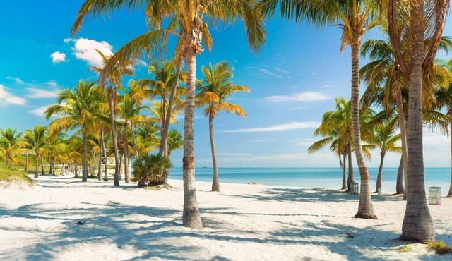 Bachelorette Oasis- Pool, Firepit, Close to Brickell, Flower Wall, Free Parking