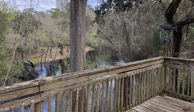Back deck overlooks the beautiful Withlacoochee River. A perfect weekend getaway