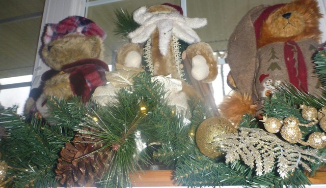 Back Home Bed and Breakfast