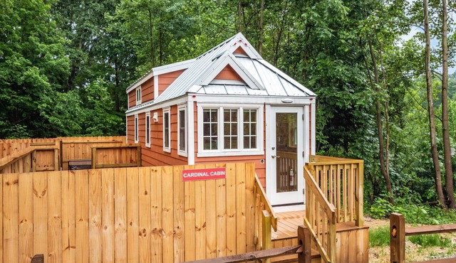 Back to Nature with Tiny Home Experience, treed 60 acres to hike on