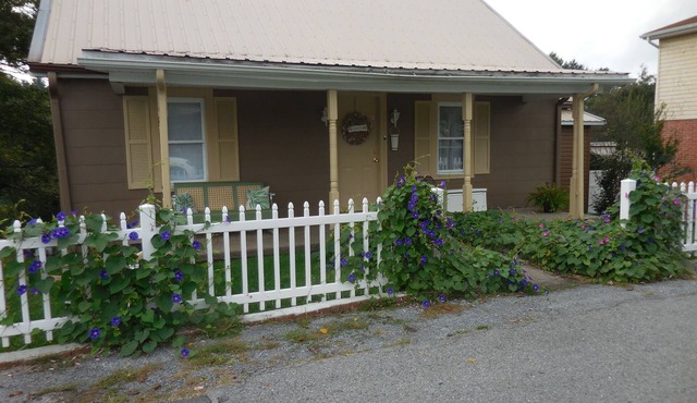 BACK TO THE 50'S GUEST HOUSE
