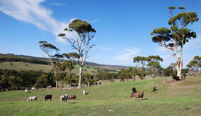 Back Valley Farmstay Bed and Breakfast