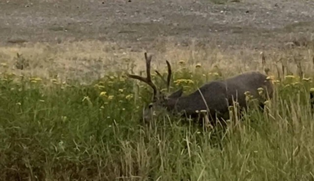 Backcountry Paradise