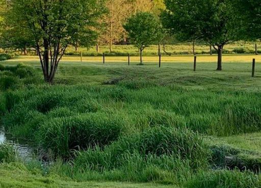 Backyard Farm Retreat.Home of Peace an Relaxation.