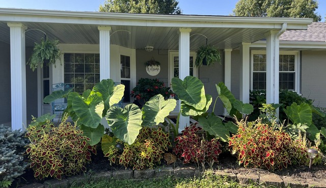 BACKYARD OASIS! Cozy and charming 60s Brick ranch with relaxing gazebo over pond