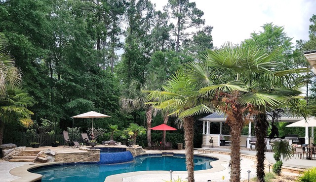 Backyard Oasis Grovetown pool