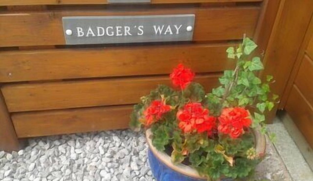Badger's Way - In The Heart Of The English Lake District - Badger Watching Here