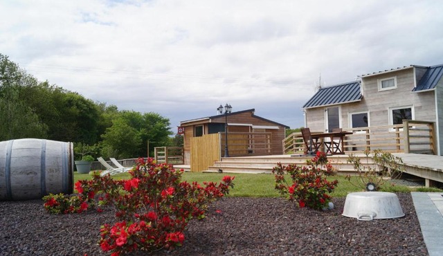 Bain Nordique SPA - Tiny house à la campagne