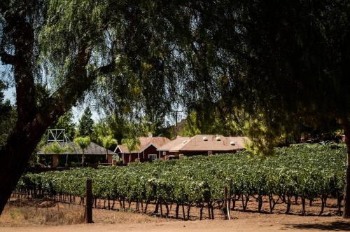 Baja Vineyard Lodge - Luxury in Valle de Guadalupe with pool