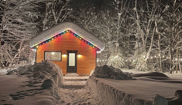 Bala Vida Cabin - Steps to Lake Muskoka w/pond, fire pit & cedar barrel sauna ✌🏼
