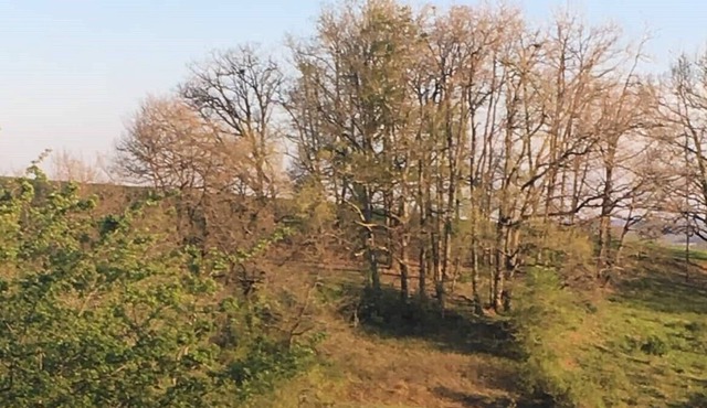 Balcon sur Balestier Maison Campagne Proche D'agen , 8 Personnes, Piscine Privée