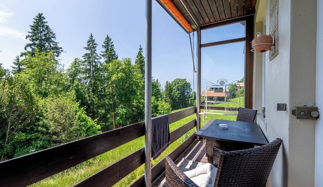 Balcony & Terrace | Alpine & Lake Views | Near Interlaken