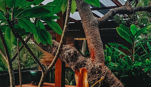 Bali Inspired Spa Villa