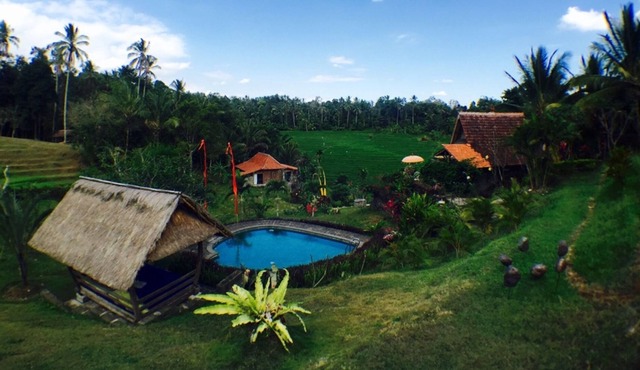 Bali Lush