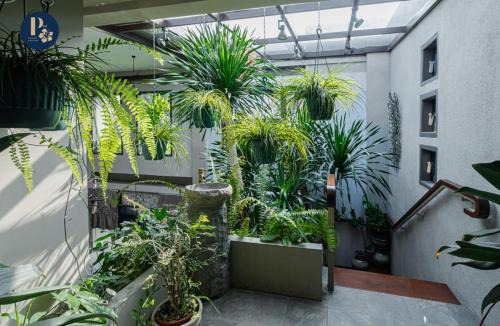 Bali Puspa Guest House