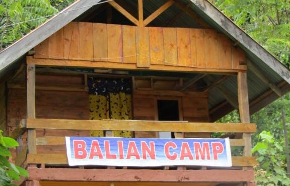 Balian Camp penginapan