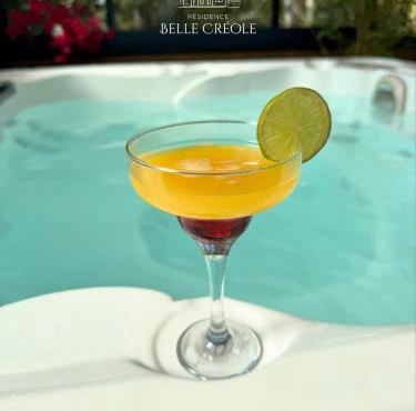 Balisier Maison Jacuzzi luxe privatif à 15min de Disneyland Paris