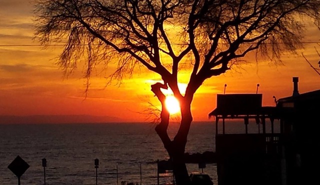 Balm Beach Resort & Motel