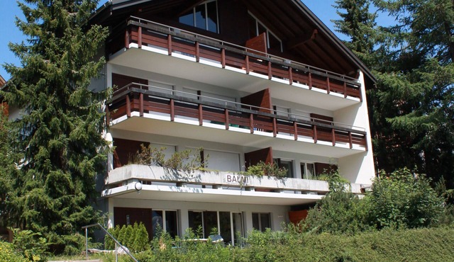 Balmi Apartment - in the heart of the Alps