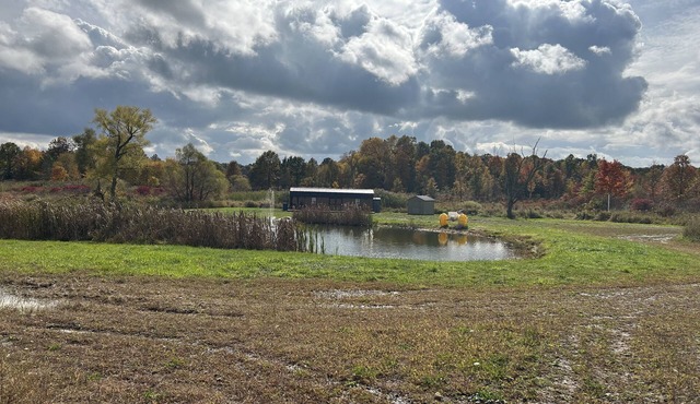 BAM Acres Cabin