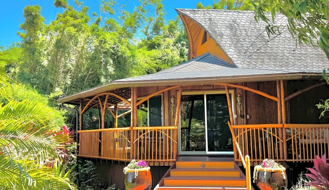 Bamboo Bliss: Ocean Views & Waterfalls Await!