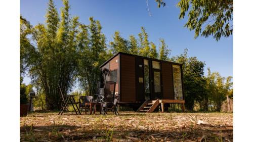 Bamboo Grove by Tiny Away