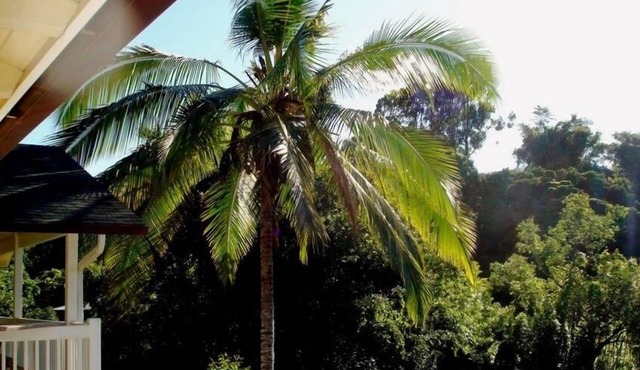 Bamboo Valley Inn 2BR/1BA Permitted