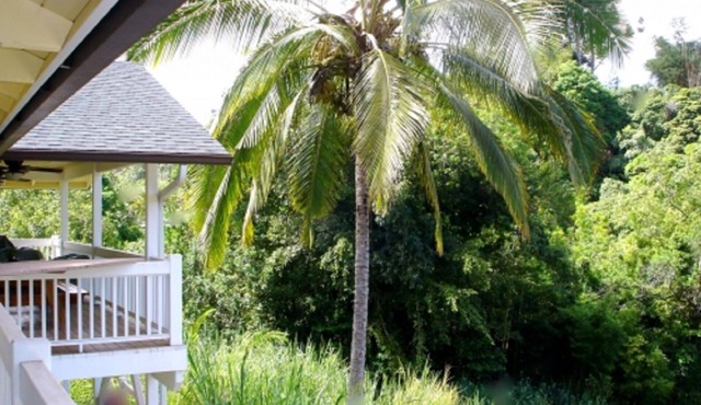 Bamboo View Suite 2bd 1bth At Bamboo Valley Inn