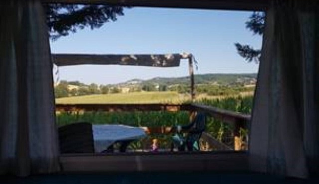 BAMBOUS - Le Clos des Oiseaux