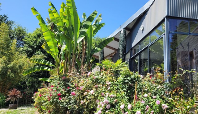 BANANIERS. Air-conditioned house on one level, SPA in garden not overlooked 5 *.