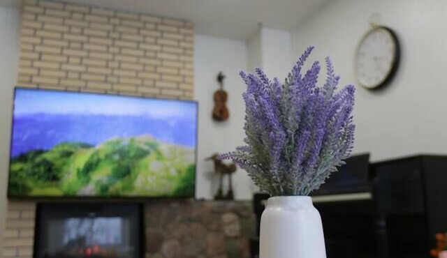 Banff 70 min| 5 min UofC, DT, Shops, Dining| Patio