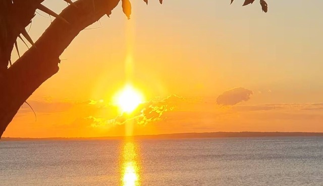 Banksia Hideaway (K'gari Fraser Island)n#Kingfisher Bay Resort