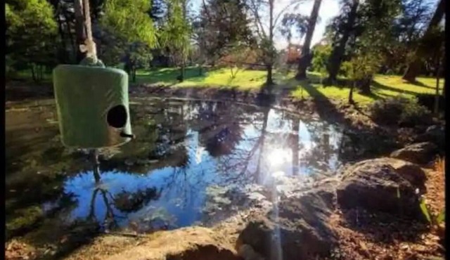 Banksia Mt Macedon - Modern country retreat