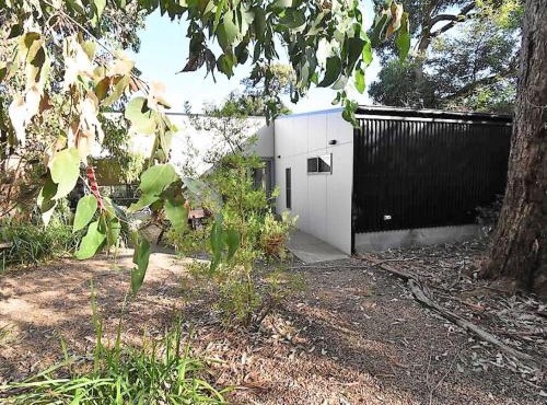 Banksias at Waratah Bay