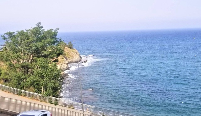 BANYULS-SUR-MER: T3 Apartment with Air Conditioning, Near Beach