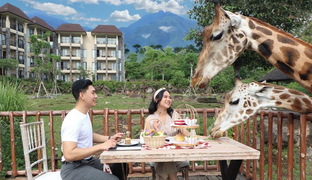 Baobab Safari Resort