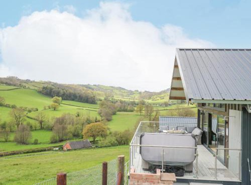 Barcud Coch - Red Kite