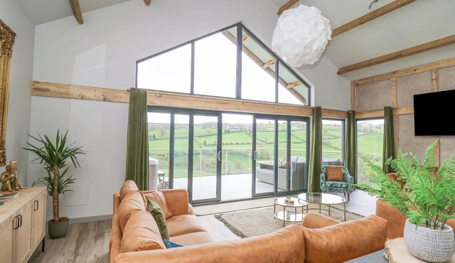 Barcud Coch - Red Kite