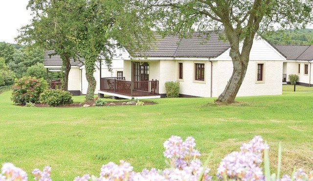 Bargany (Pet), Dailly