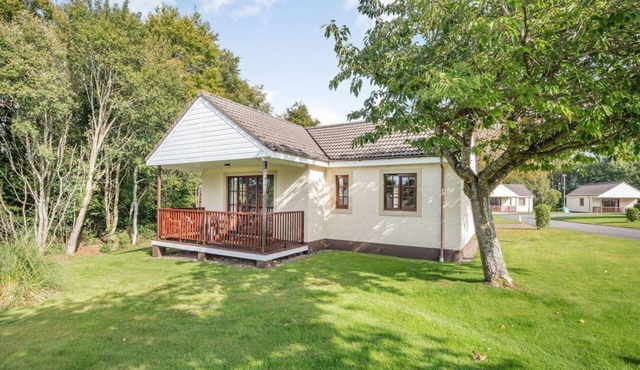 Bargany (Pet), Dailly