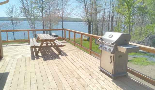 Bark Lake Cottage