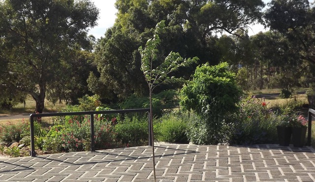 Barkly Suites Apartments