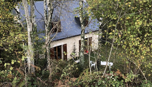 Barn in a green setting