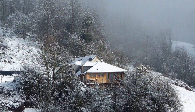 Barn in the middle of our farm with cows and chickens at 750m altitude