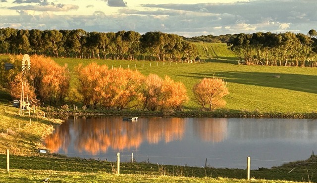 Barn Loft with sweeping ocean and farm views, near Port Campbell and 12 Apostles