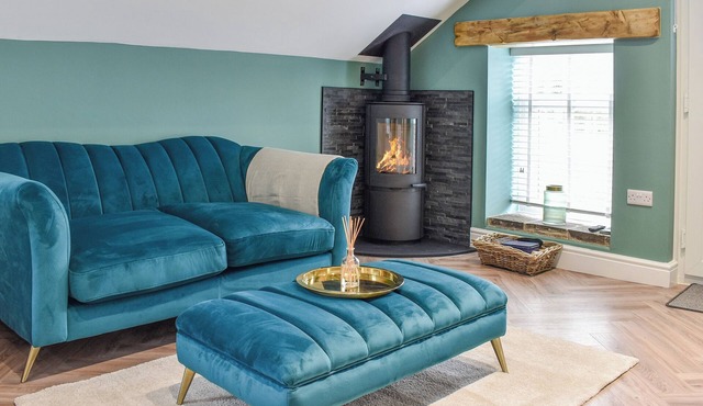 Barn Owls Nest-UK39432