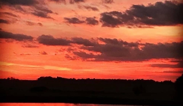 Barndominium in the country. Two acre fishing lake, large porch and Pickleball.