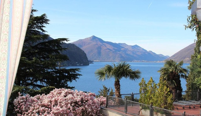 Barony Olive mit Hund